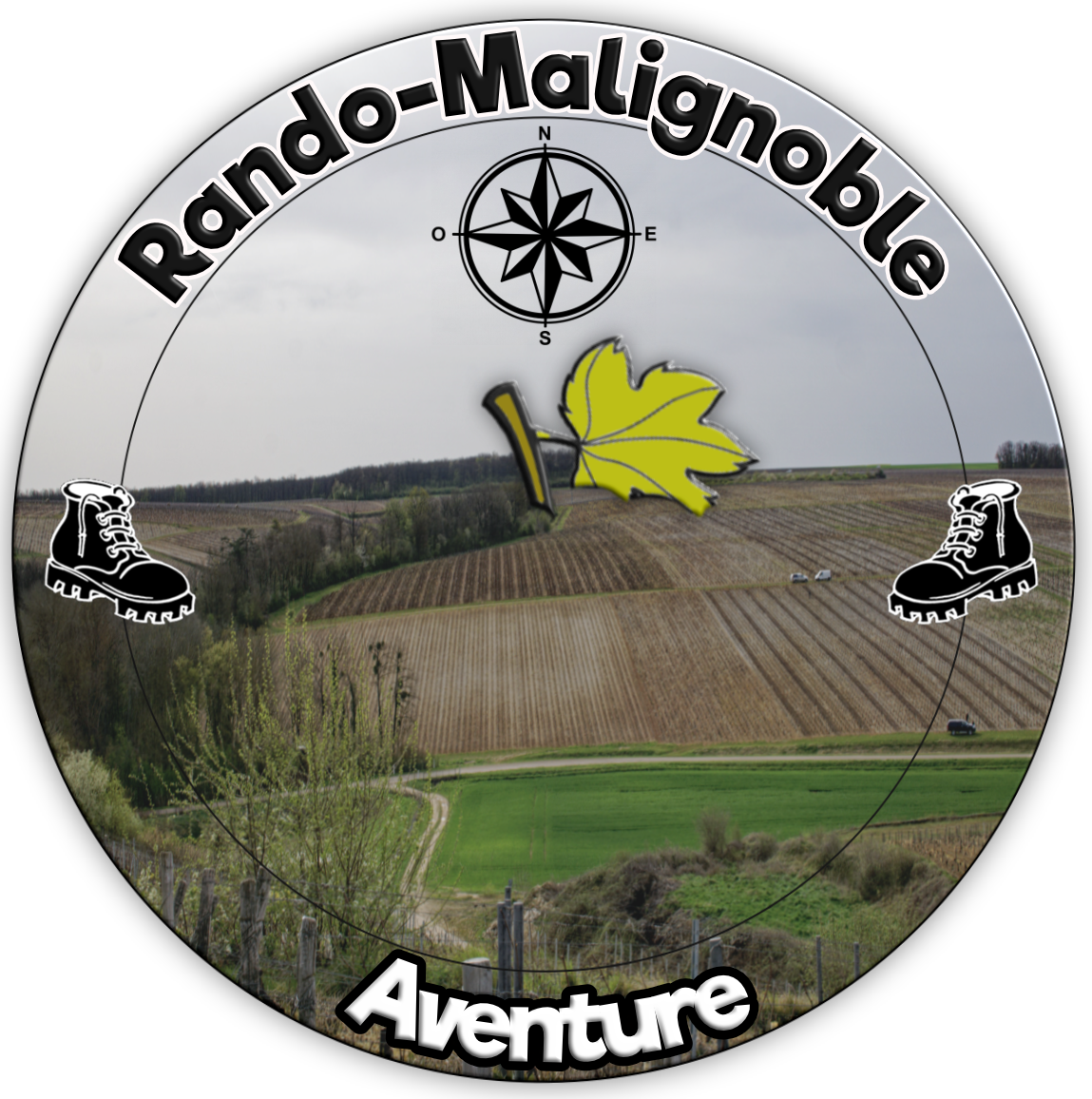 logo